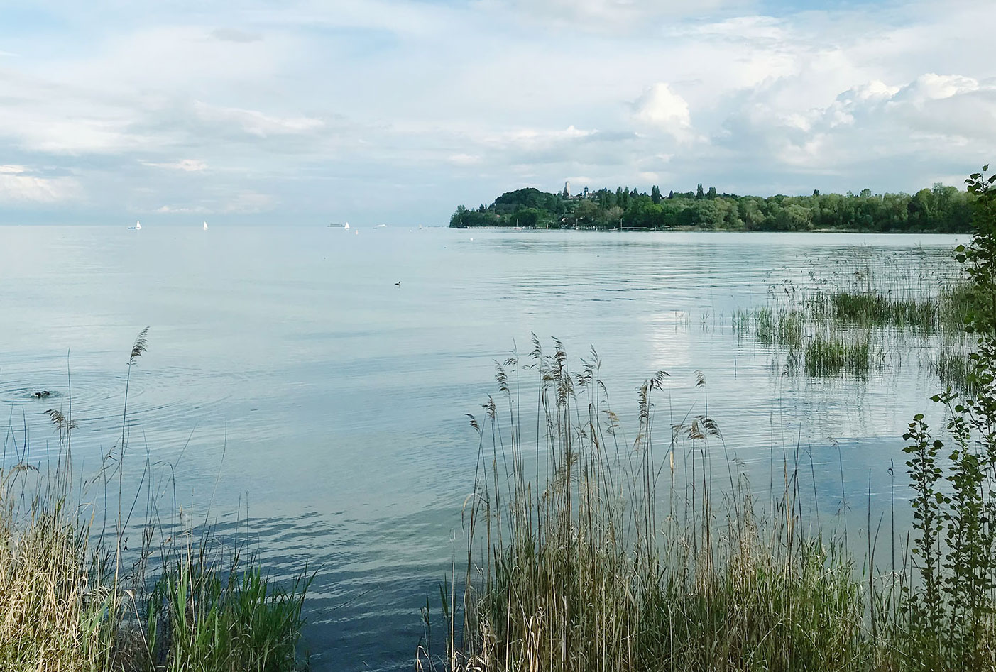 Bodensee, Osteopathie und Heilpraxis in Konstanz, Überlingen und Tettnang