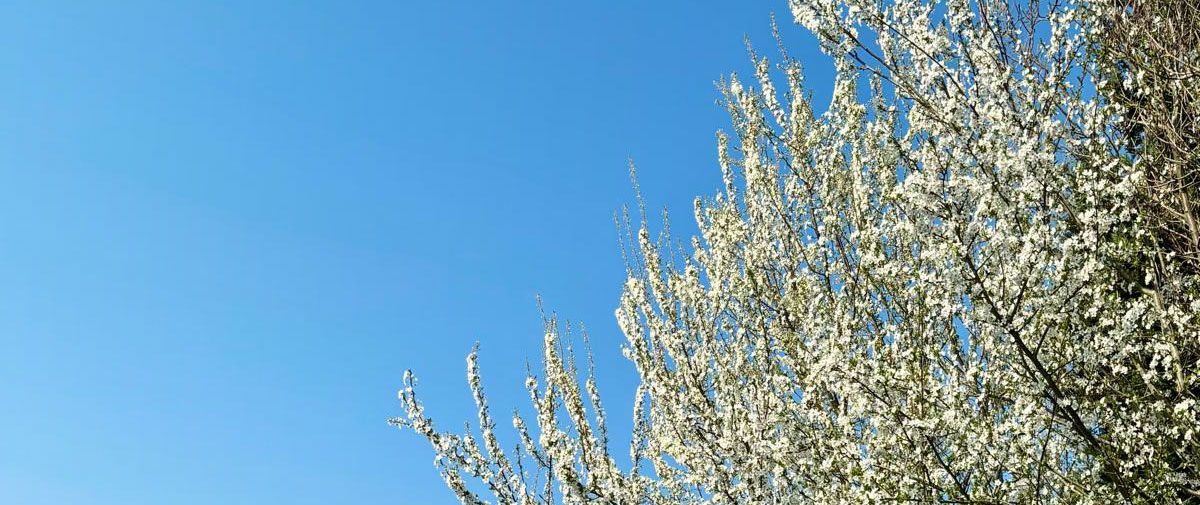 Osteopathie am Andreashof in Überlingen